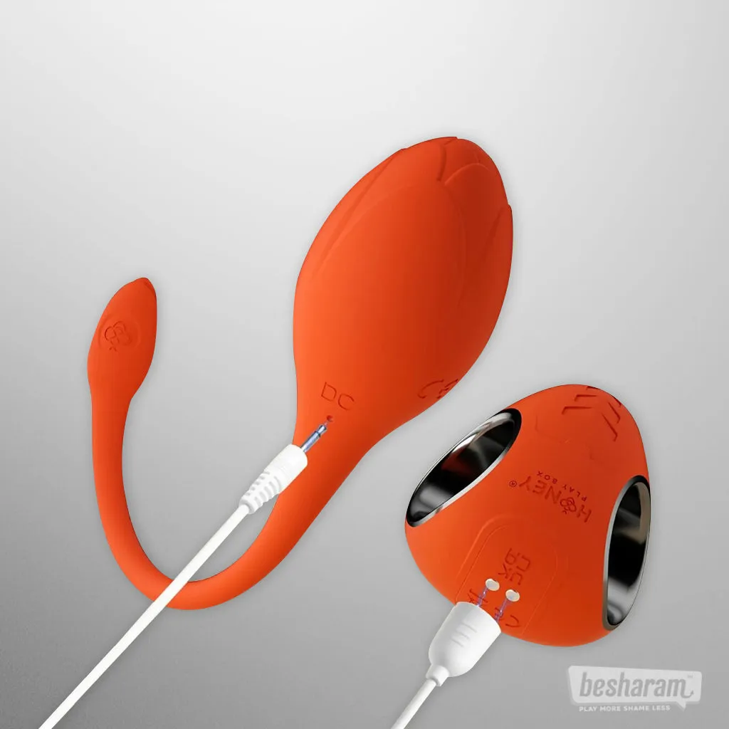 HPB Lili App Controlled Egg Vibrator